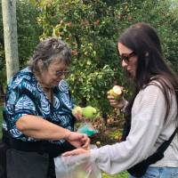 Apple_picking_pictures